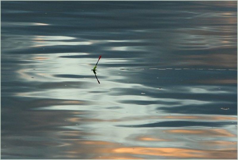 Медитацияphoto preview