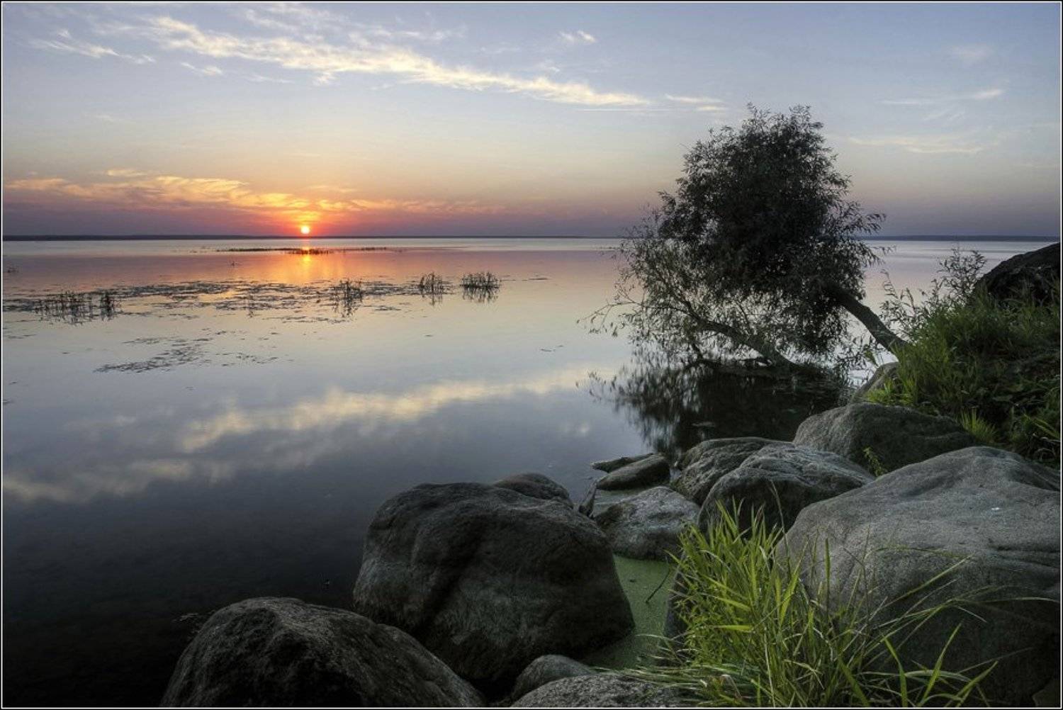 Tree on the water. Автор: Alex Sheptl плещеево, озеро, переславль, залесский, Alex Sheptl