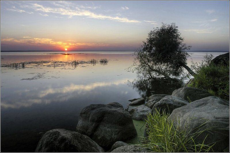 плещеево, озеро, переславль, залесский Tree on the waterphoto preview