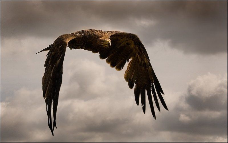 Хмурое небоphoto preview