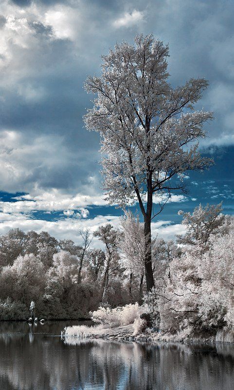 ик, пейзаж, лето предгрозовое, инфракрасное...photo preview