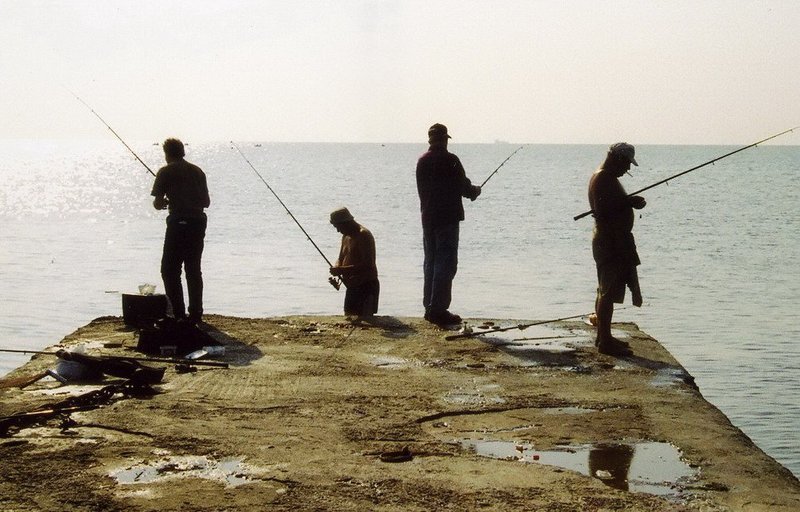 Рыбка плавает по дну...photo preview