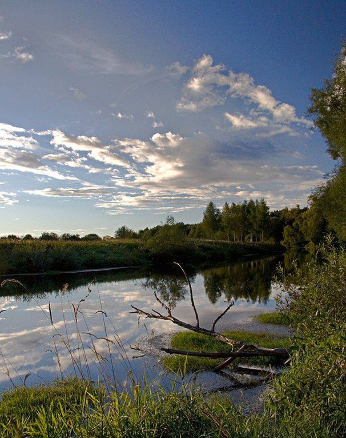 Закат на Ламе #1. Автор: wizzard , wizzard