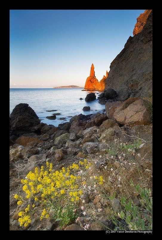 Silencephoto preview