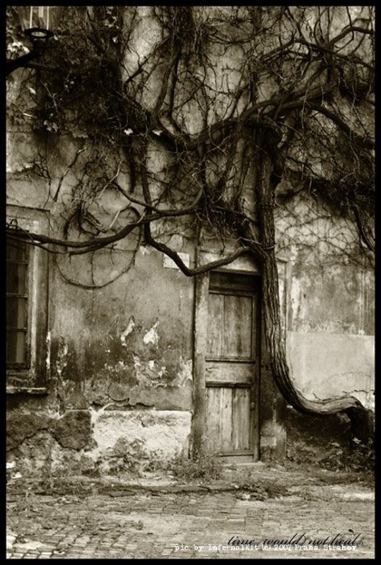 time would not heal... photo preview