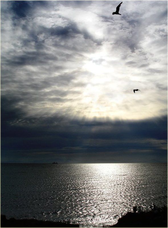 Утро осени на берегу моря Японскогоphoto preview