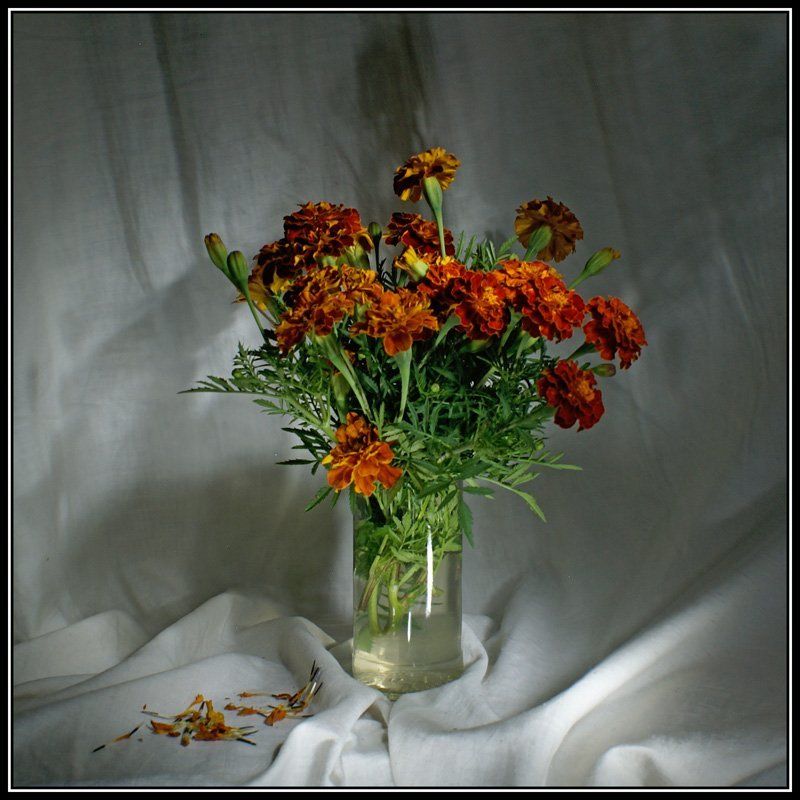 световая кисть, натюрморт Букет бархатцевphoto preview