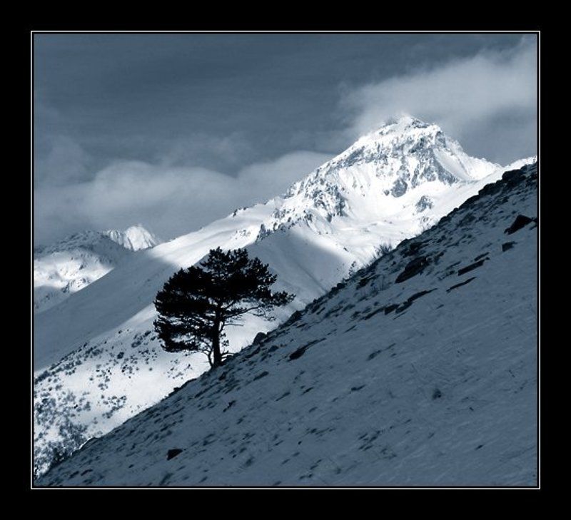 И З Г О Йphoto preview