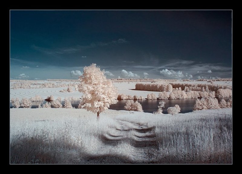 ик, infra red, инфракрасная съемка Отпускная зимовкаphoto preview