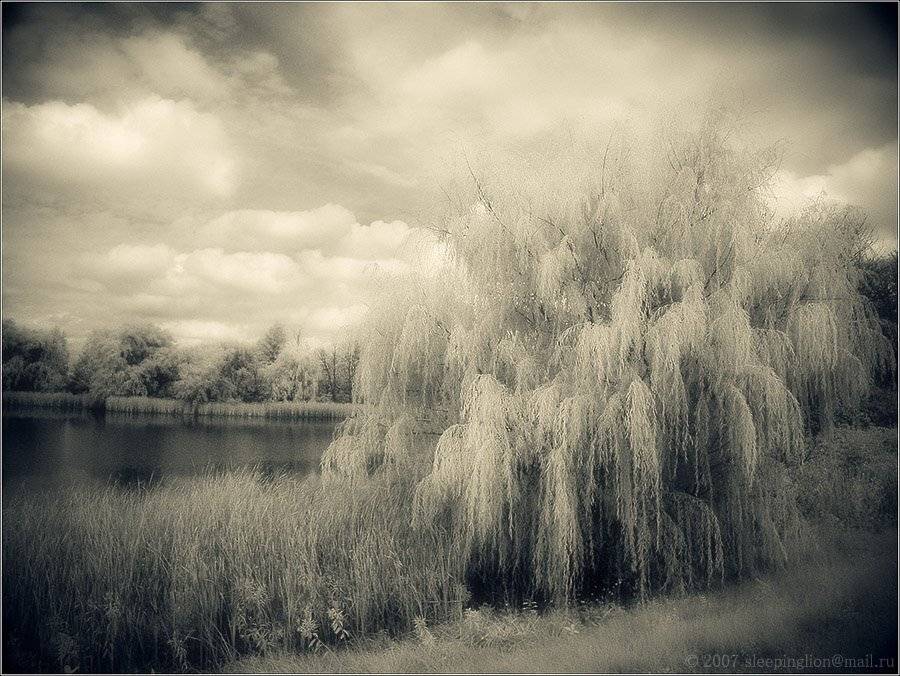 ик, пейзаж, infrared, инфракрасный, инфракрасное, pilgrim, Pilgrim