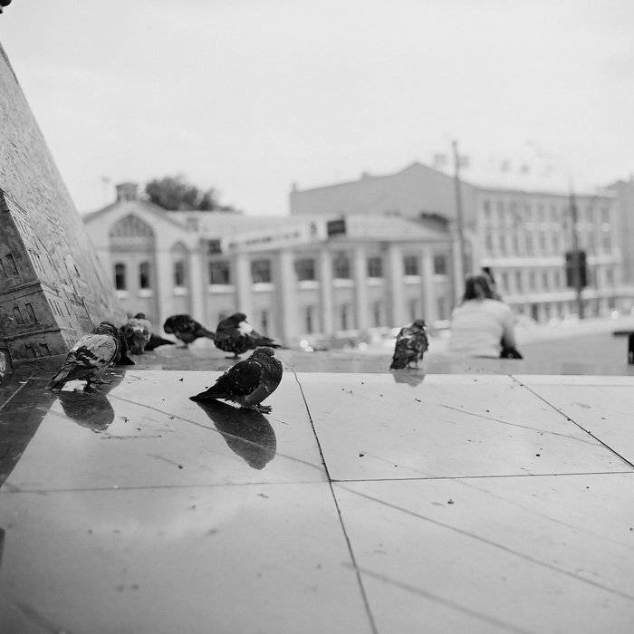 kamushek, 6x6, киев-6с, пленка, волна-3, kamushek