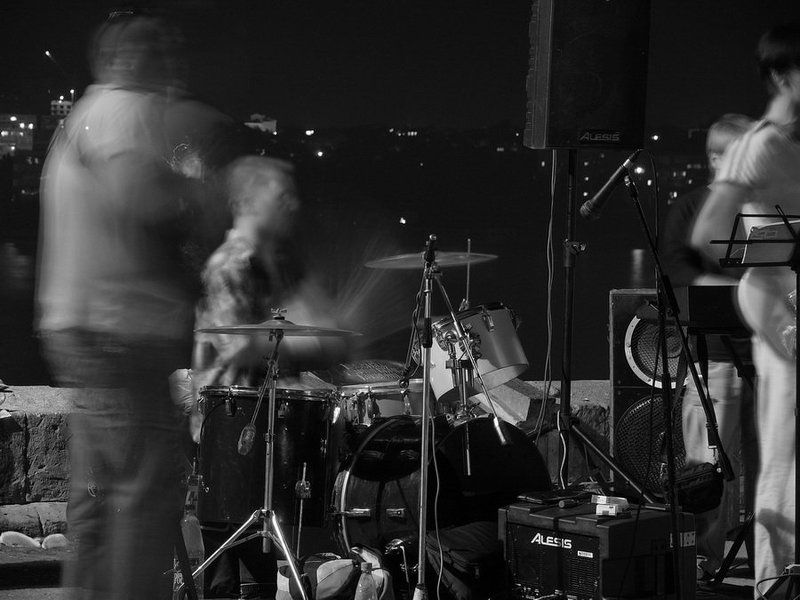 Рояль в кустахphoto preview