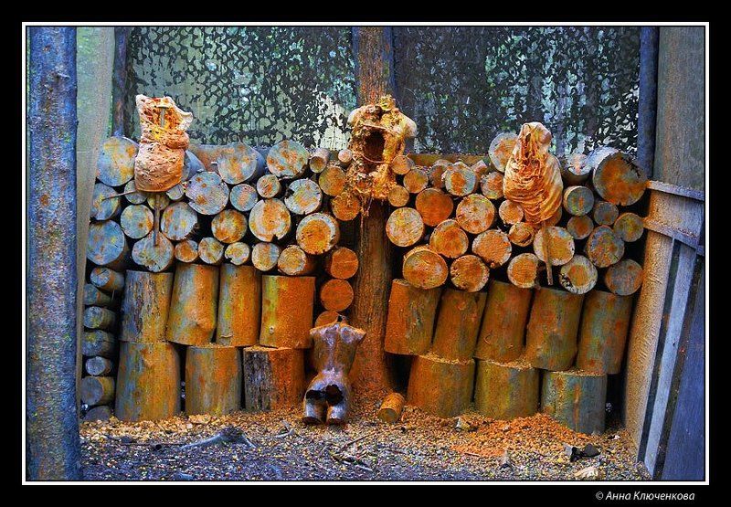 Paintball Realityphoto preview