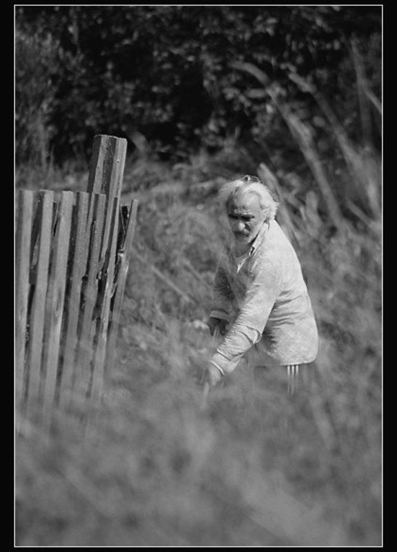 косарь, забор, трава Коси коса, пока роса...photo preview