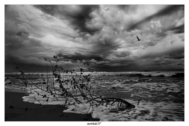 адриатика море сентябрь пляж Непляжный сезонphoto preview