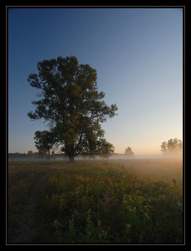маяк, дерево, утро, солнце, рассвет, МАЯКphoto preview