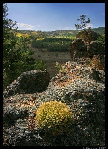 Внимания треугольник