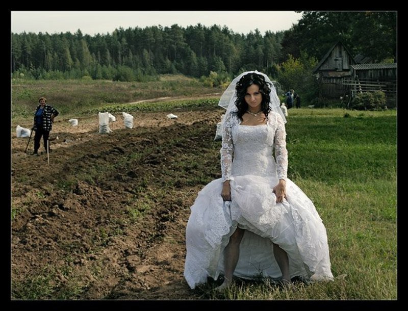 wedding по осени считаютphoto preview