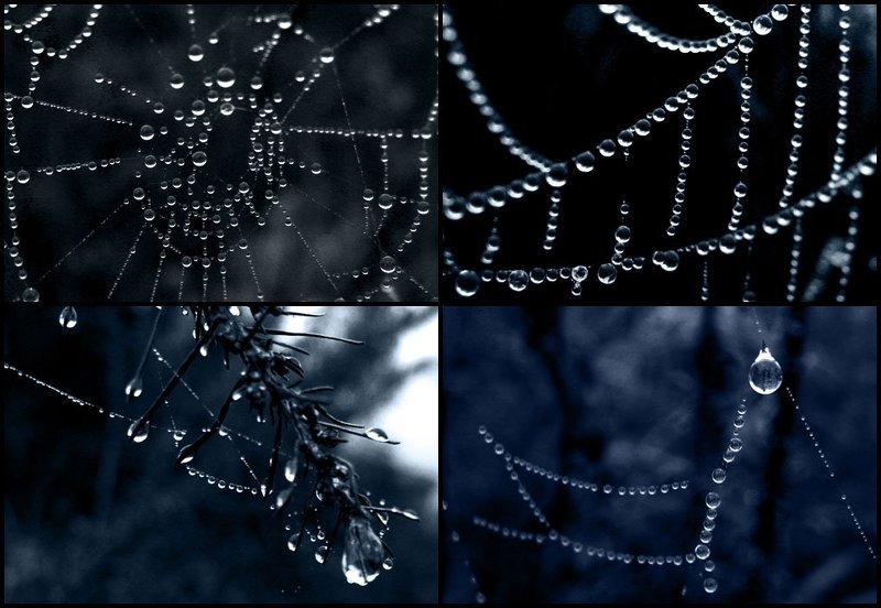 бусинкиphoto preview