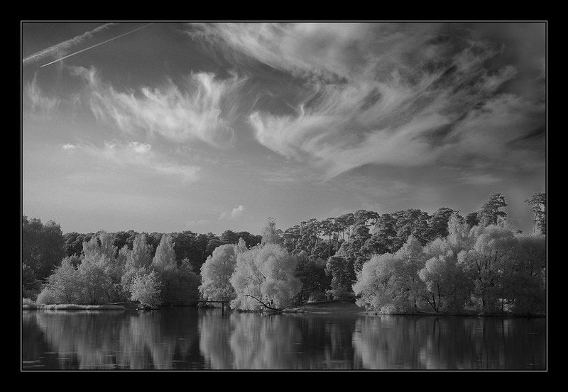 ик, infrared, осень НЕ краски осениphoto preview