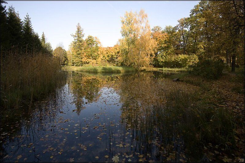 пушкин тихая заводьphoto preview