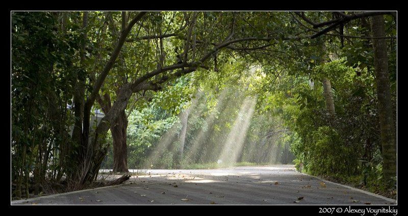 мальдивские острова мальдивы san island рассвет Мальдивский рассветphoto preview