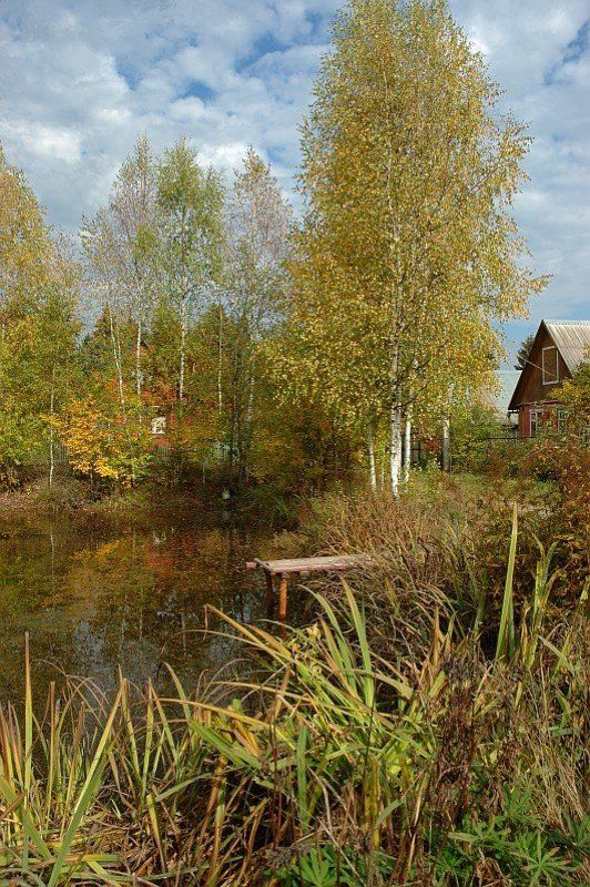 и снова осеньphoto preview