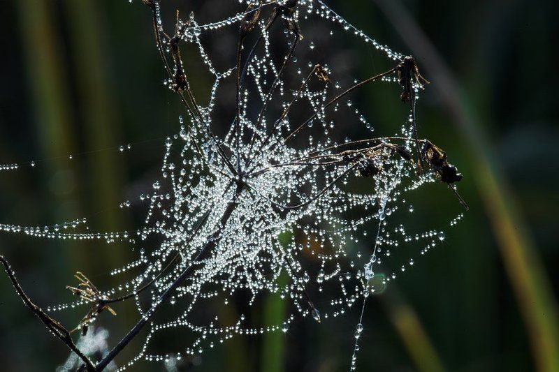 ожерелье осени photo preview