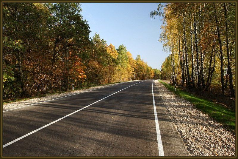 осень, дорога, поворот Осенняя дорогаphoto preview