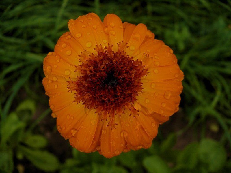 Запах женщиныphoto preview