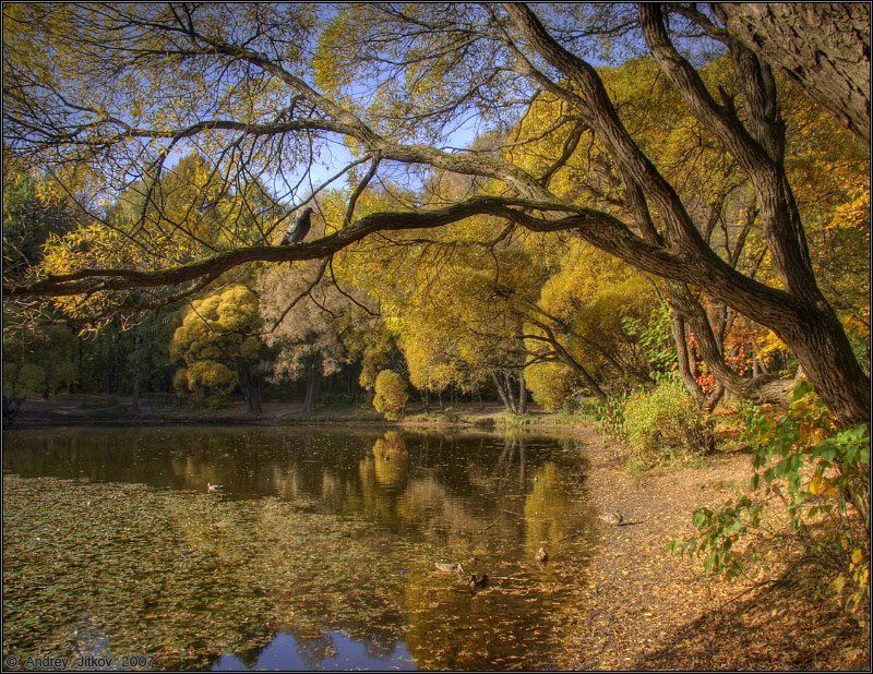 осень, октябрь, пейзаж Первый день октября..photo preview