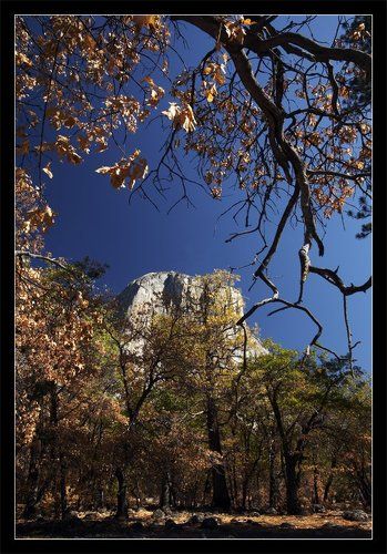 El Capitano, Yosemite