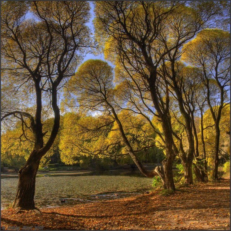 Октябрь..photo preview