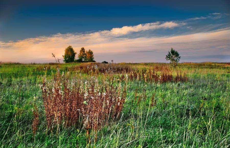 Закатные краски осени. Автор: Дмитрий Милосердов , Дмитрий Милосердов