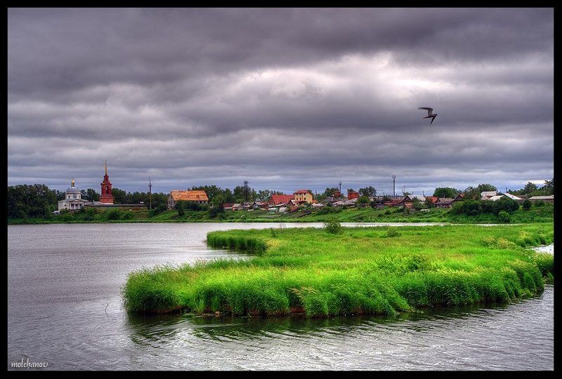 арамиль, река, остров, трава, тучи, чайка Арамильская слободаphoto preview