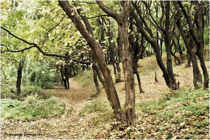 Тропинкою лесноюphoto preview