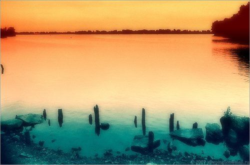Bicolor...