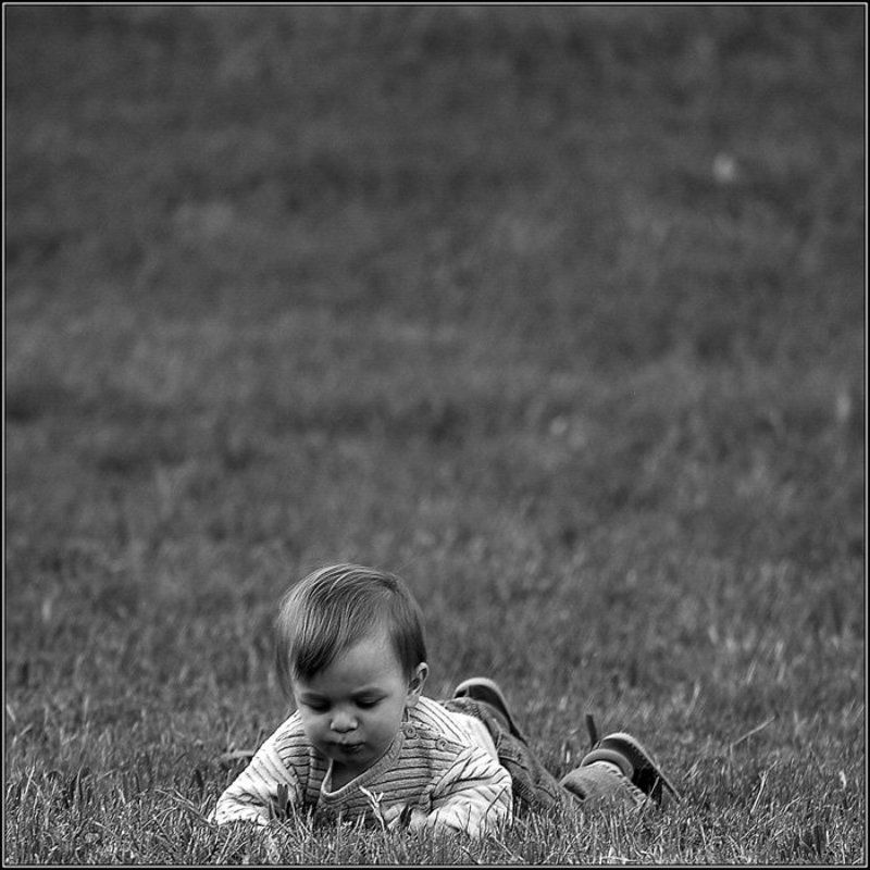 игра,дети Джекуня :)photo preview