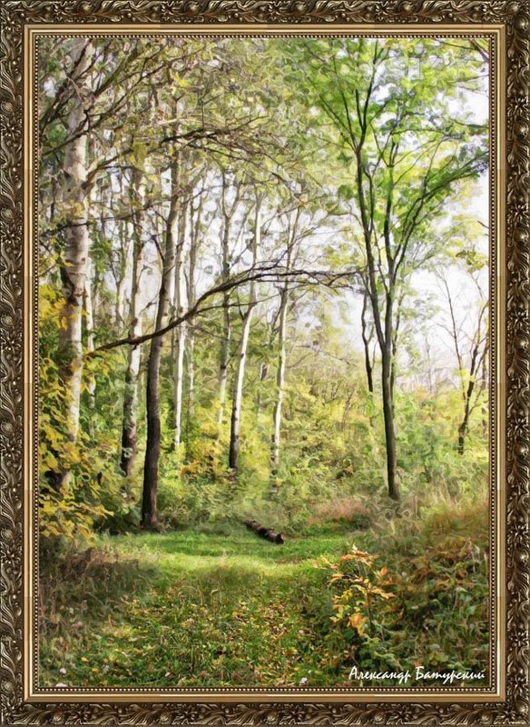 Проникновение осениphoto preview