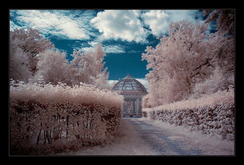 ик, infra red, инфракрасная съемка, кусково Кусково. ИК. Вольер для птицphoto preview