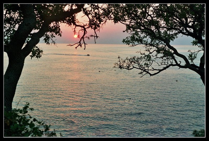 Утриш, как он есть...photo preview