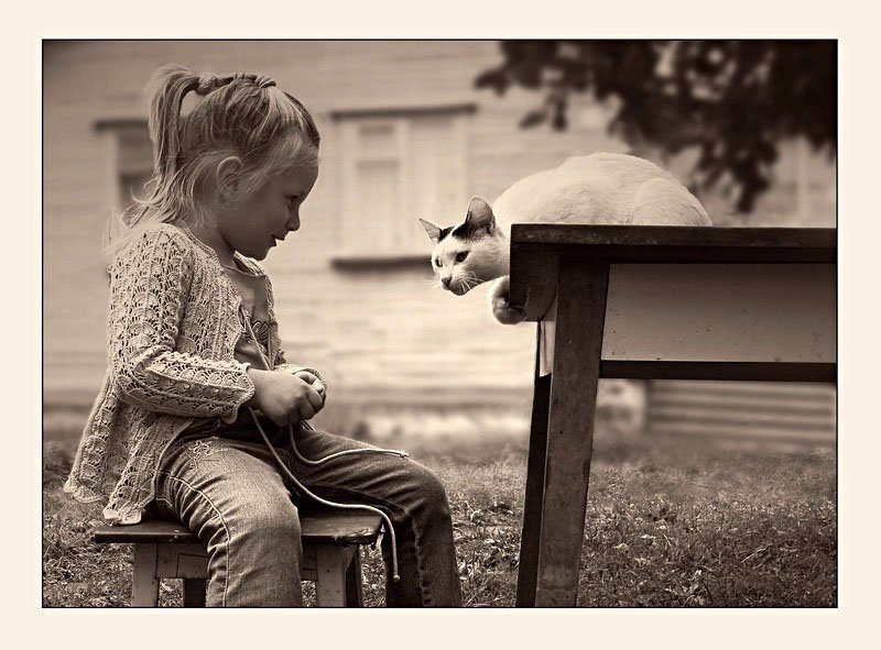 аня дочка кошка photo preview