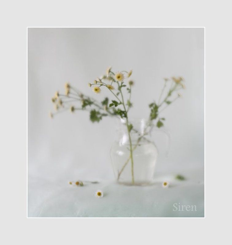 В светлых тонахphoto preview