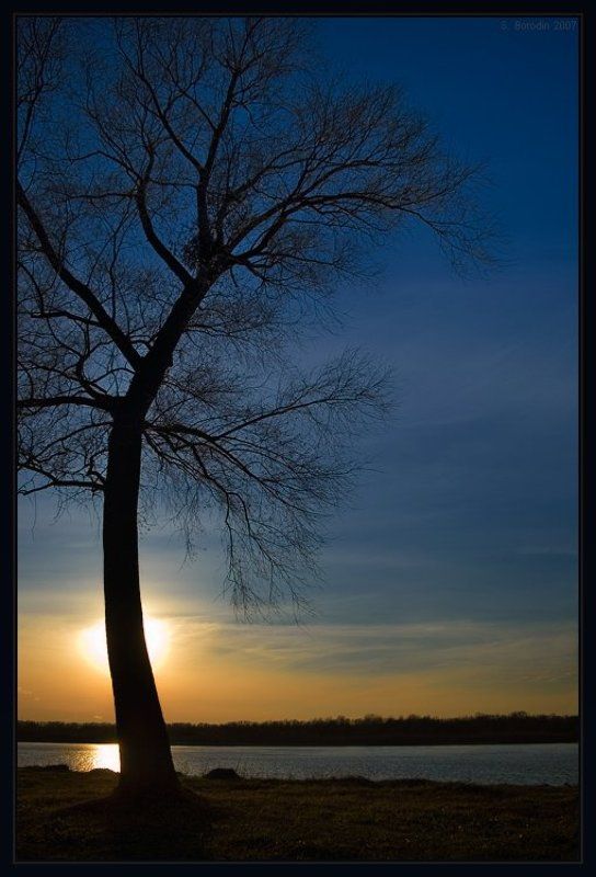 Реверансphoto preview