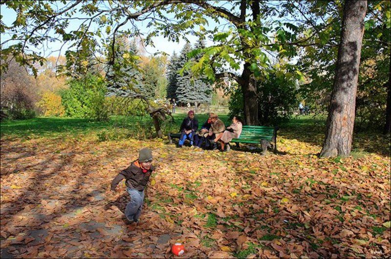 осень, листья, ребенок Молодыеphoto preview