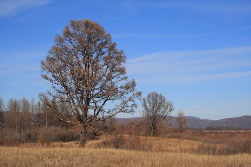 Сибирская осень