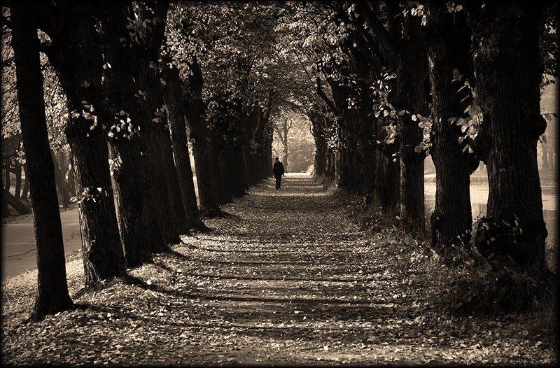 петергоф, аллея Вход.photo preview