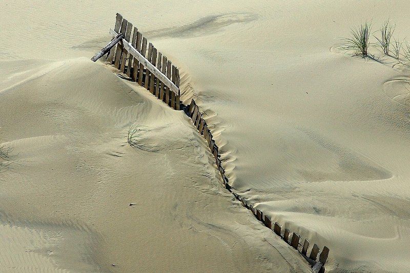 пейзаж, пески, дюны, борьба со стихией, балтика, куршская коса ***photo preview