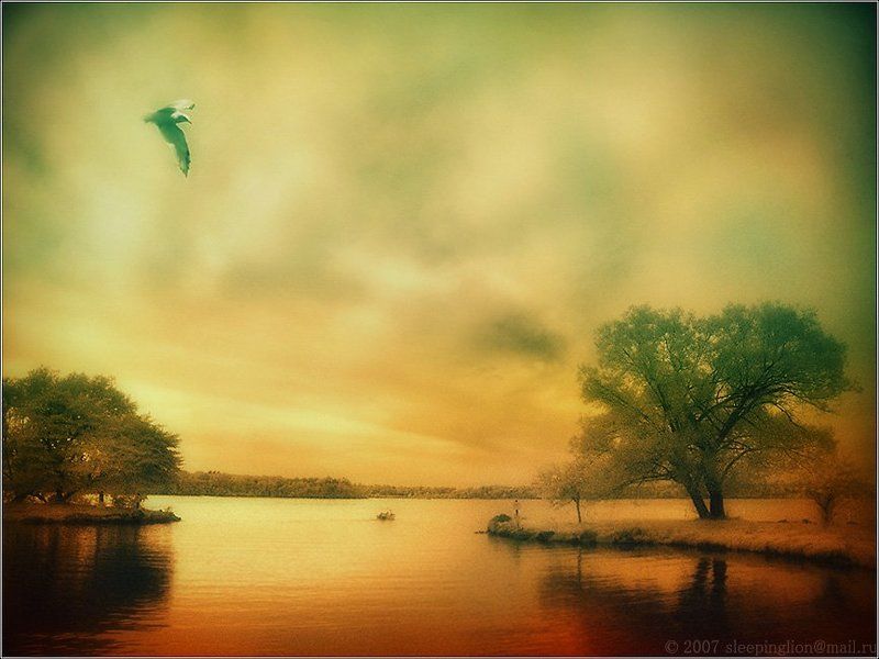 The view of silencephoto preview