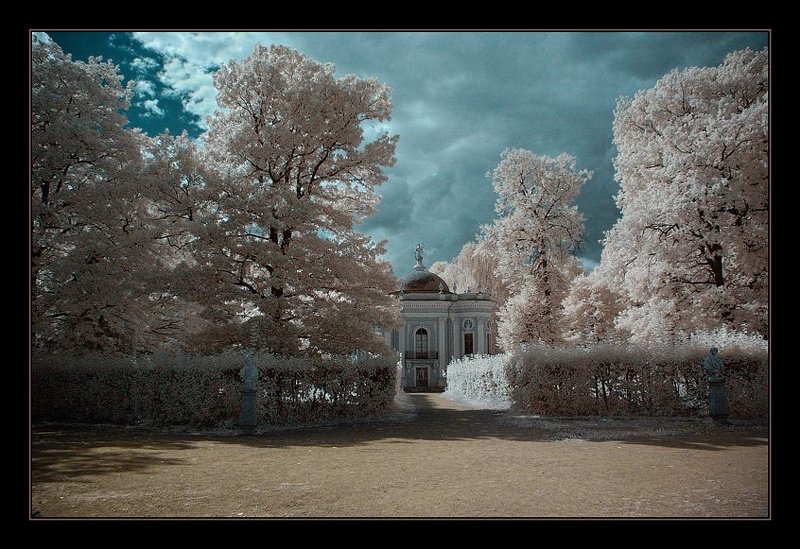 ик, infra red, инфракрасная съемка, кусково Кусково. ИК. Эрмитажphoto preview